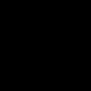 Meet your Posher, Daniela